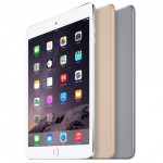 Apple Ipad Mini 3 64GB 4G — ảnh 3