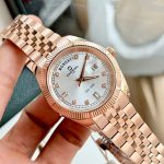 Đồng Hồ Nam Carnival 8190G-VH-T DAYDATE-Thép Vàng-Mặt Trắng-Pin-Kính Sapphire — ảnh 8