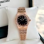 ĐỒNG HỒ Nữ Carnival 8160L2-VH-D-Dây Thép - Pin - Kính Sapphire — ảnh 1