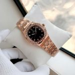 ĐỒNG HỒ Nữ Carnival 8160L2-VH-D-Dây Thép - Pin - Kính Sapphire — ảnh 6