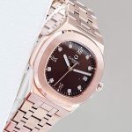 ĐỒNG HỒ Nữ Carnival 8160L-VH-Nâu Mặt Nâu Đậm-Dây Thép-Pin-Kính Sapphire — ảnh 1