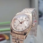 ĐỒNG HỒ Nữ Carnival 8131L-VH-NN Mặt Sundust-Dây Thép-Pin-Kính Sapphire — ảnh 4