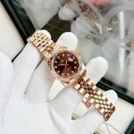 ĐỒNG HỒ Nữ Carnival 8131L-VH-N Mặt Nâu-Dây Thép-Pin-Kính Sapphire — ảnh 2